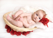 Sugar Snaps Photography - baby / child / newborn / maternity / family